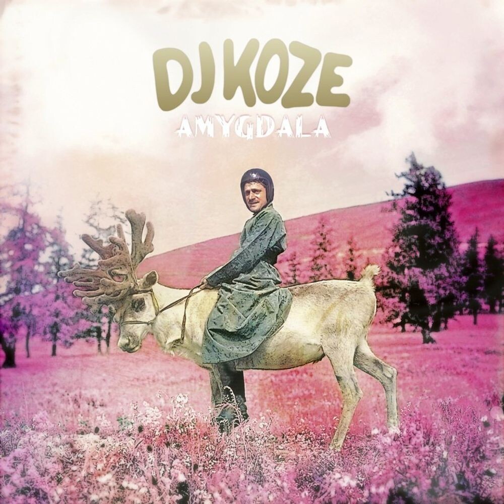 

Виниловая пластинка LP Amygdala - DJ Koze