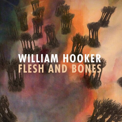 

Виниловая пластинка Hooker, William - Flesh And Bones