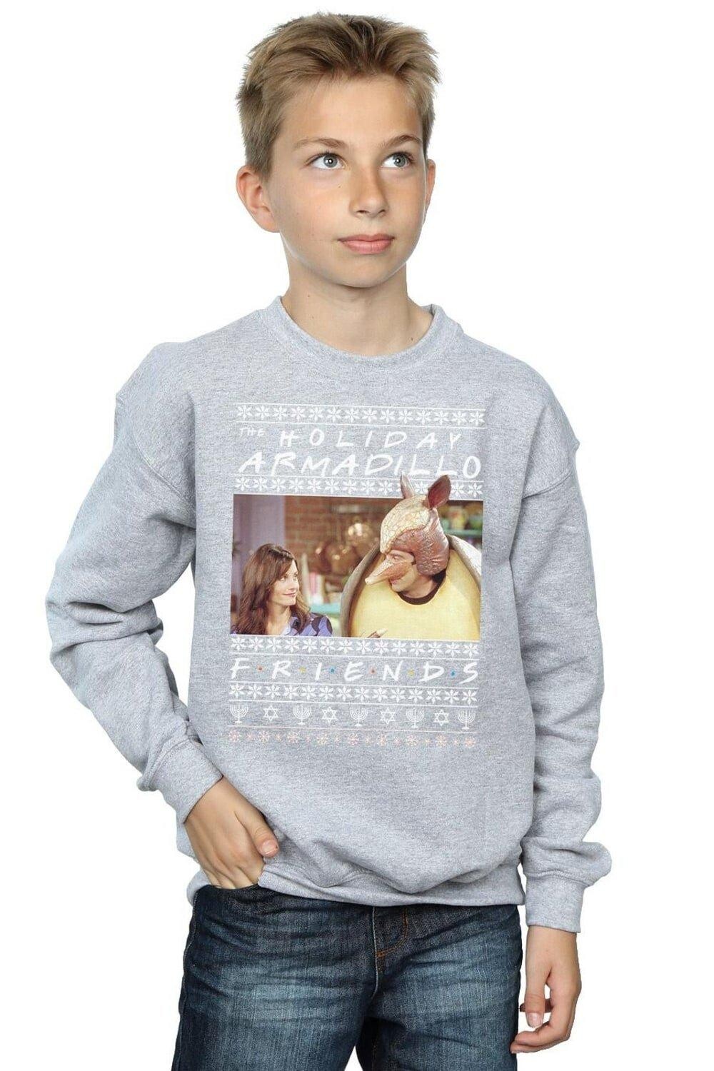 

Толстовка Fair Isle Holiday Armadillo Friends, серый