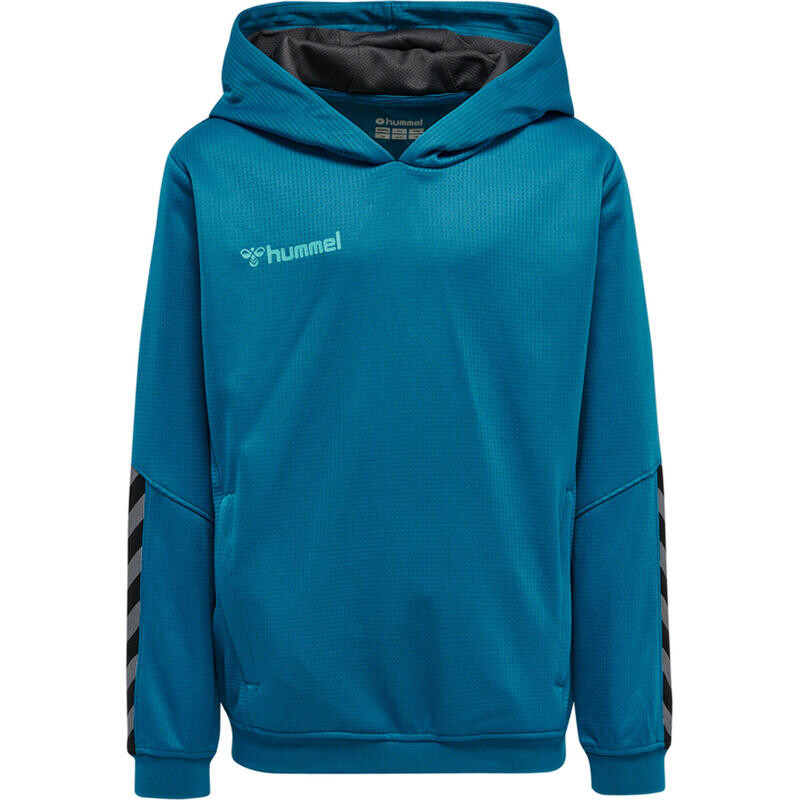 

Hmlauthentic Толстовка унисекс детская мультиспортивная HUMMEL, цвет blau