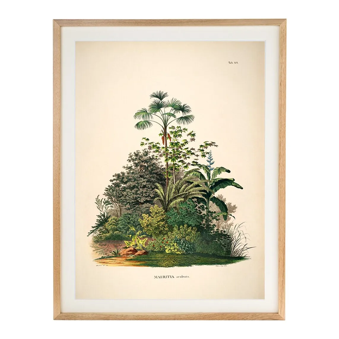 

Принт Palm Trees Jungle The Dybahl + Marco Thor El Corte Inglés, естественный