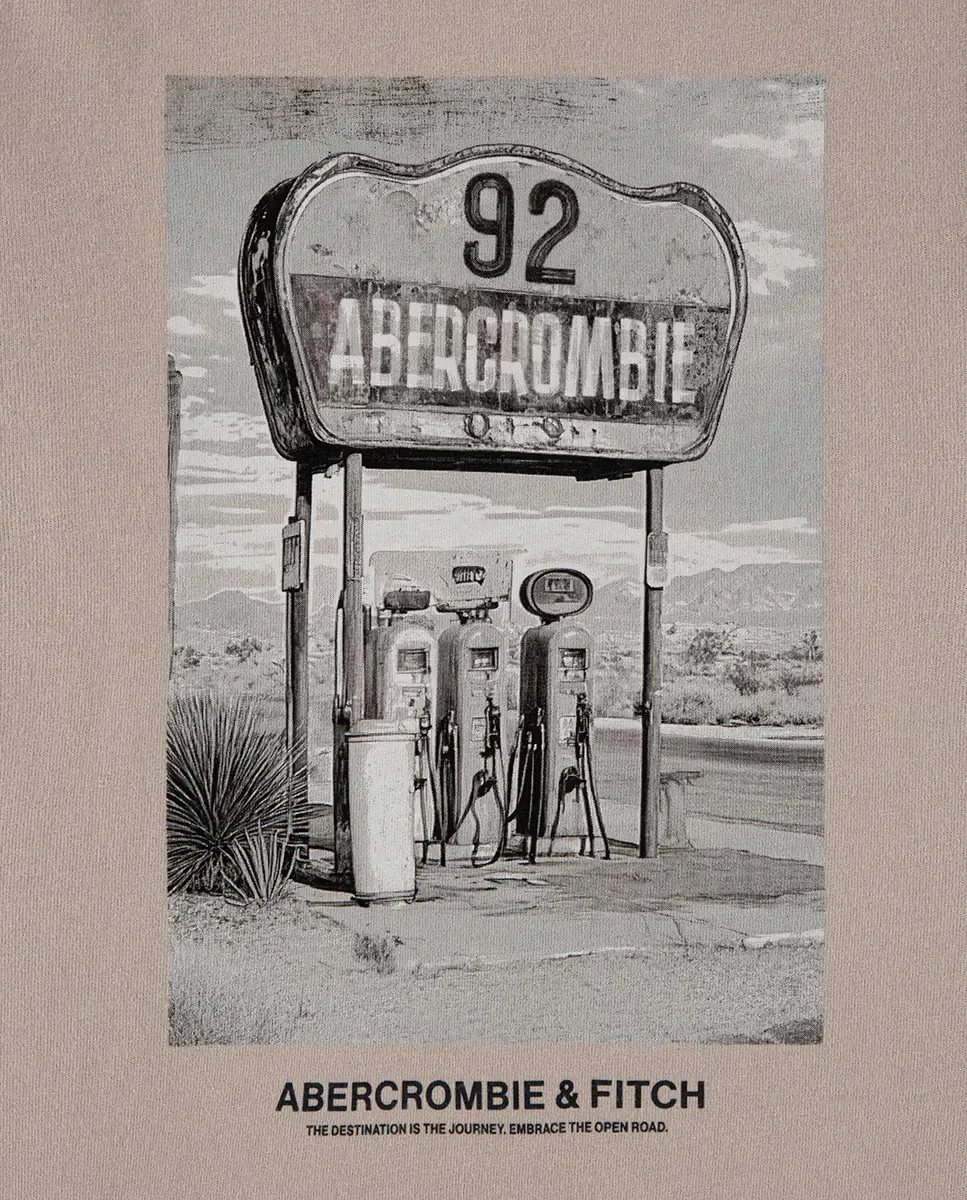 Футболка с фото гоночного автомобиля Abercrombie Kids, коричневый — фото 3
