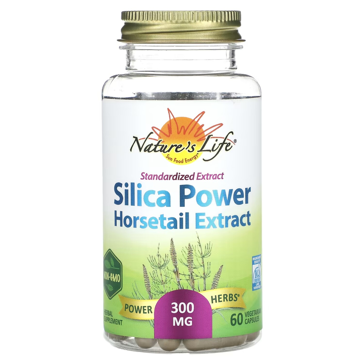 

Nature's Life Silica Power Экстракт хвоща 300 мг, 60 вегетарианских капсул