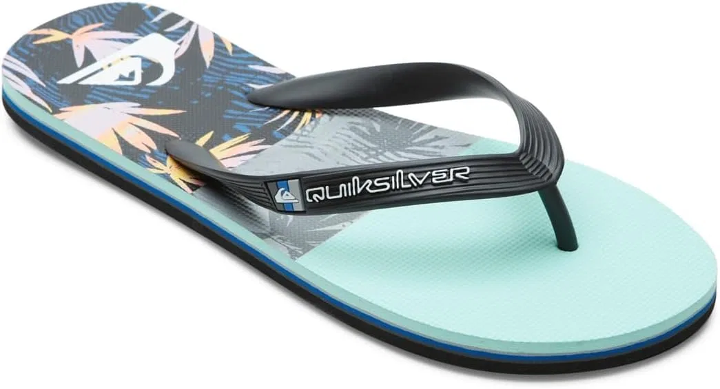 Мужские сандалии-шлепанцы Quiksilver Molokai Panel 3 Point