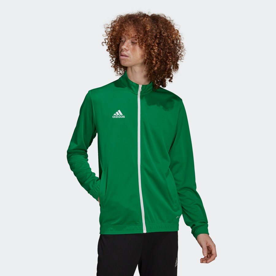 Тренировочная куртка ADIDAS PERFORMANCE Entrada 22, темно-зеленый — фото 2