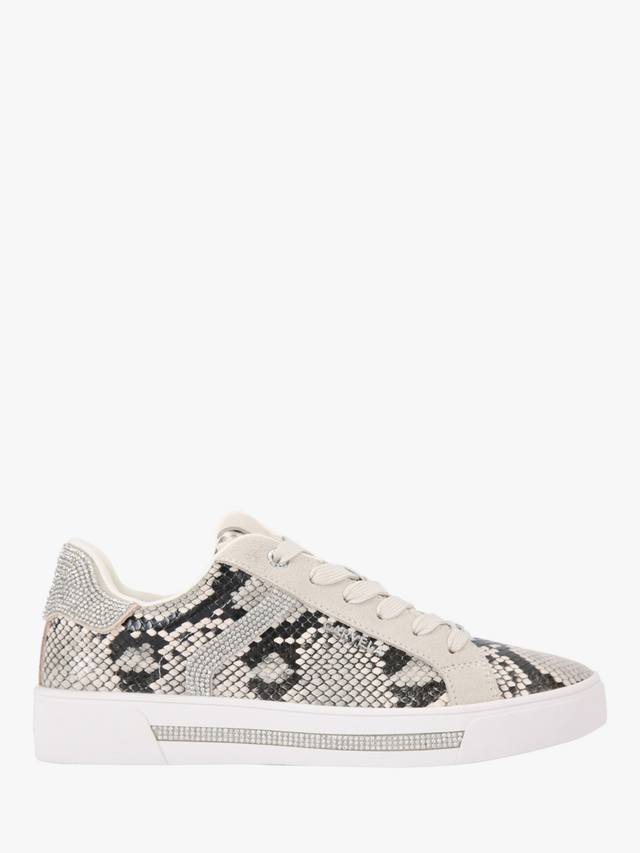Тренеры Daze Jewel на шнуровке Carvela