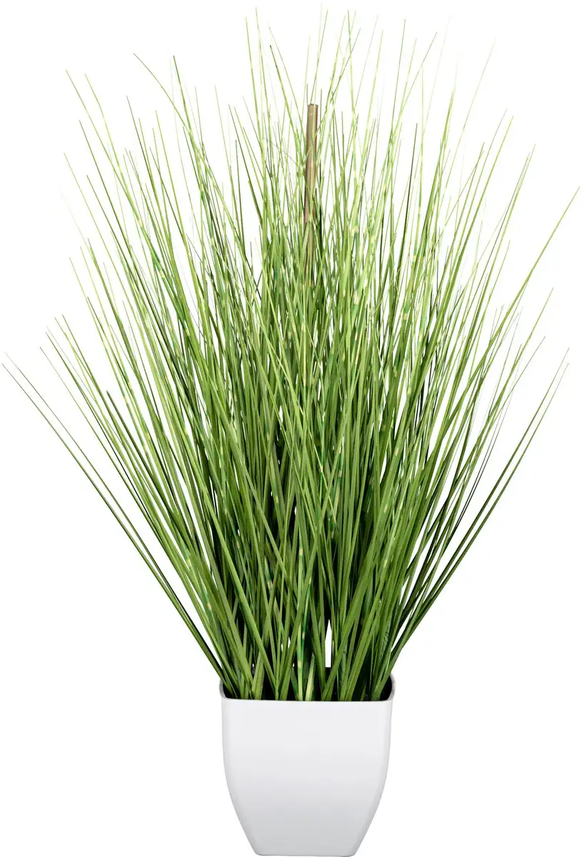

Зеленая искусственная трава Creativ "Grass Bush", в белом горшке Creativ green Высота: 77 см, зеленый