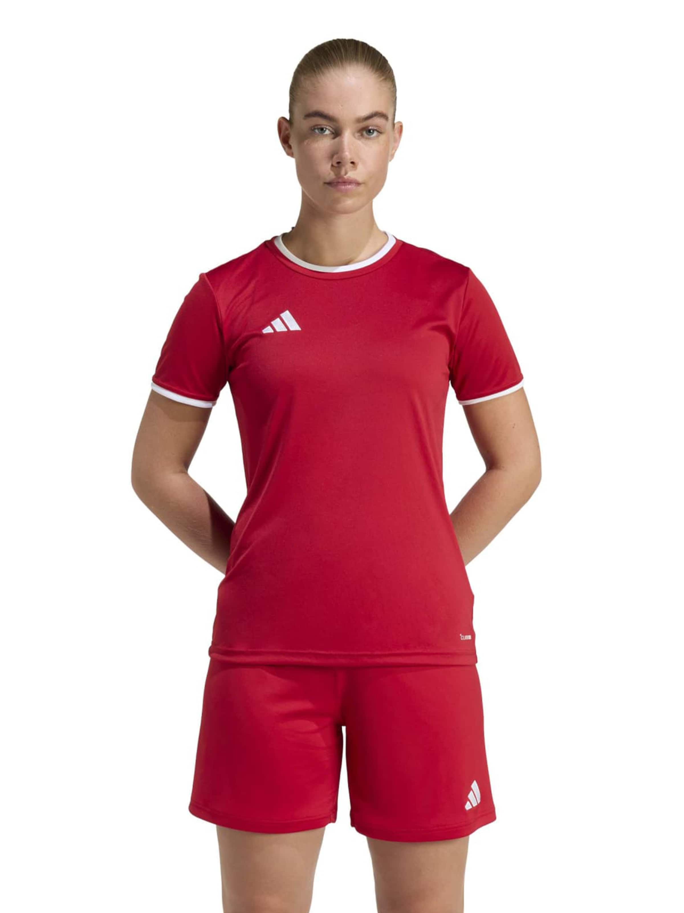 Adidas Performance Футболка для тренировок 'ENT26' в красном цвете — фото 3