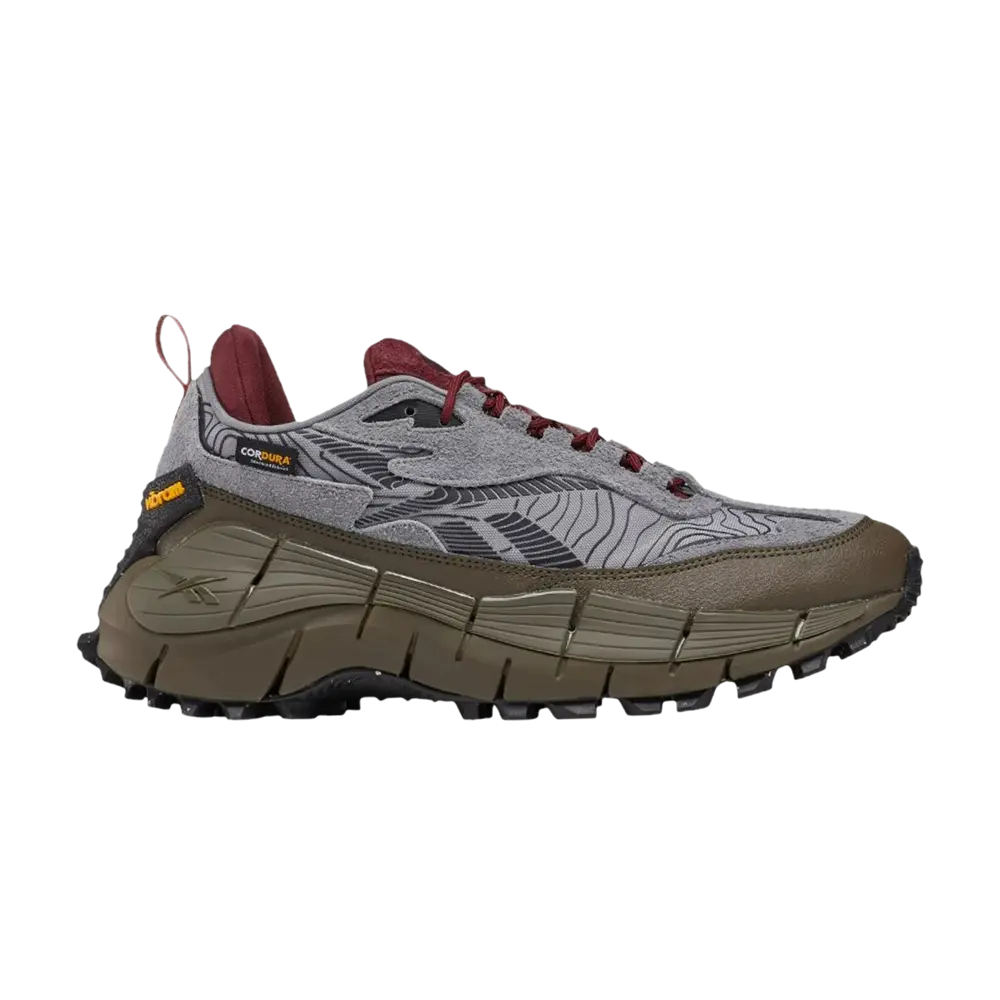 Кроссовки Zig Kinetica 2.5 Edge Reebok, серый