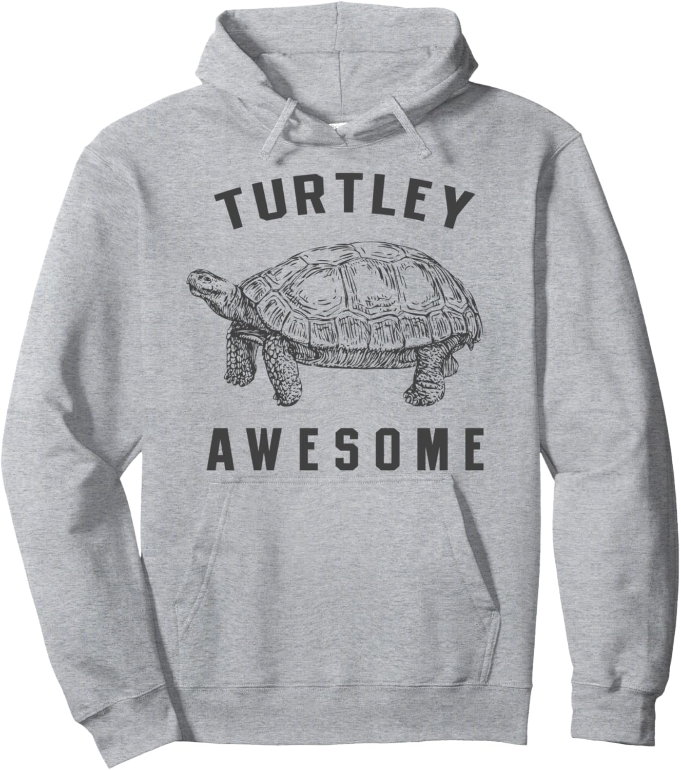 

Забавная толстовка с изображением черепахи Тортли Interesting Designs By Big Raydesigns, серый