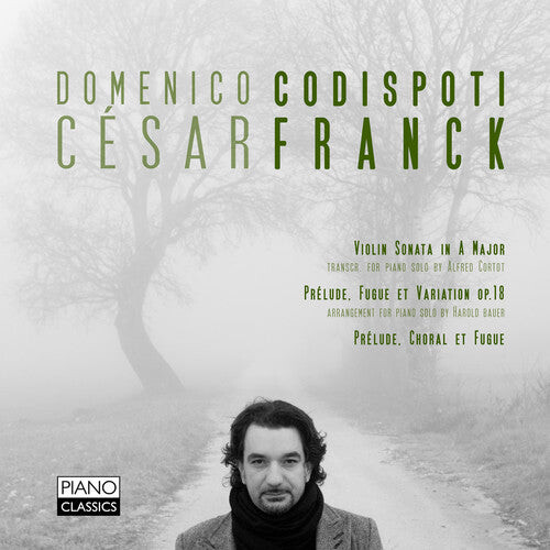 

CD диск Franck, Cesar: Preludes Violin Transcription