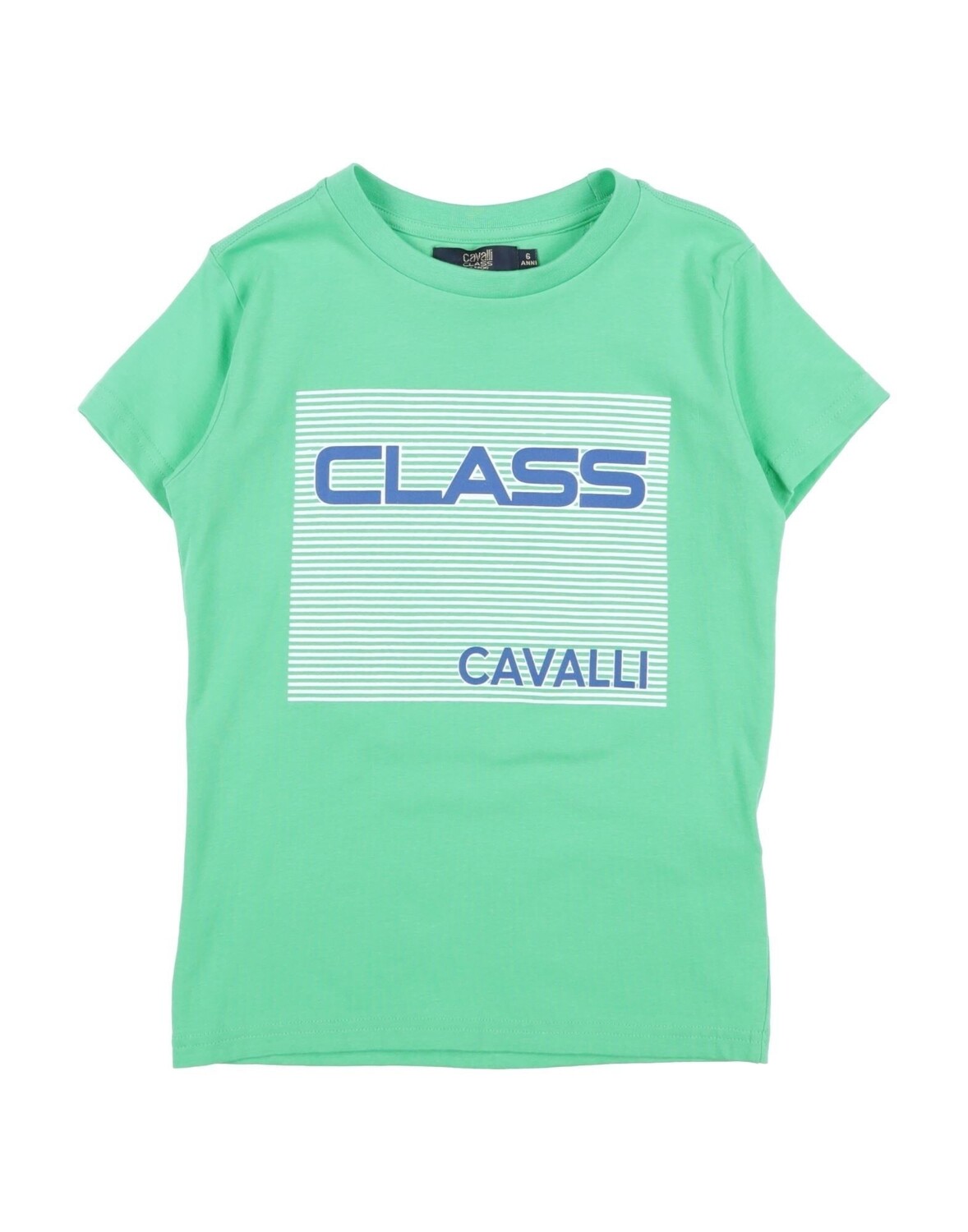 

Футболка Roberto Cavalli, зеленый
