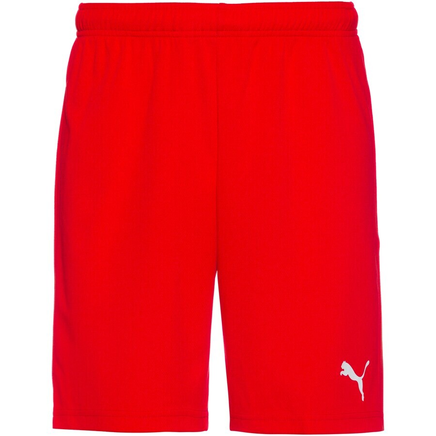 

Тренировочные брюки Puma TEAMRISE, красный
