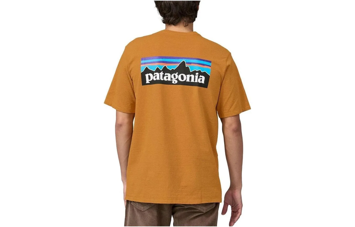Футболка Responsibili-Tee Patagonia, Mango Yellow/DMGO