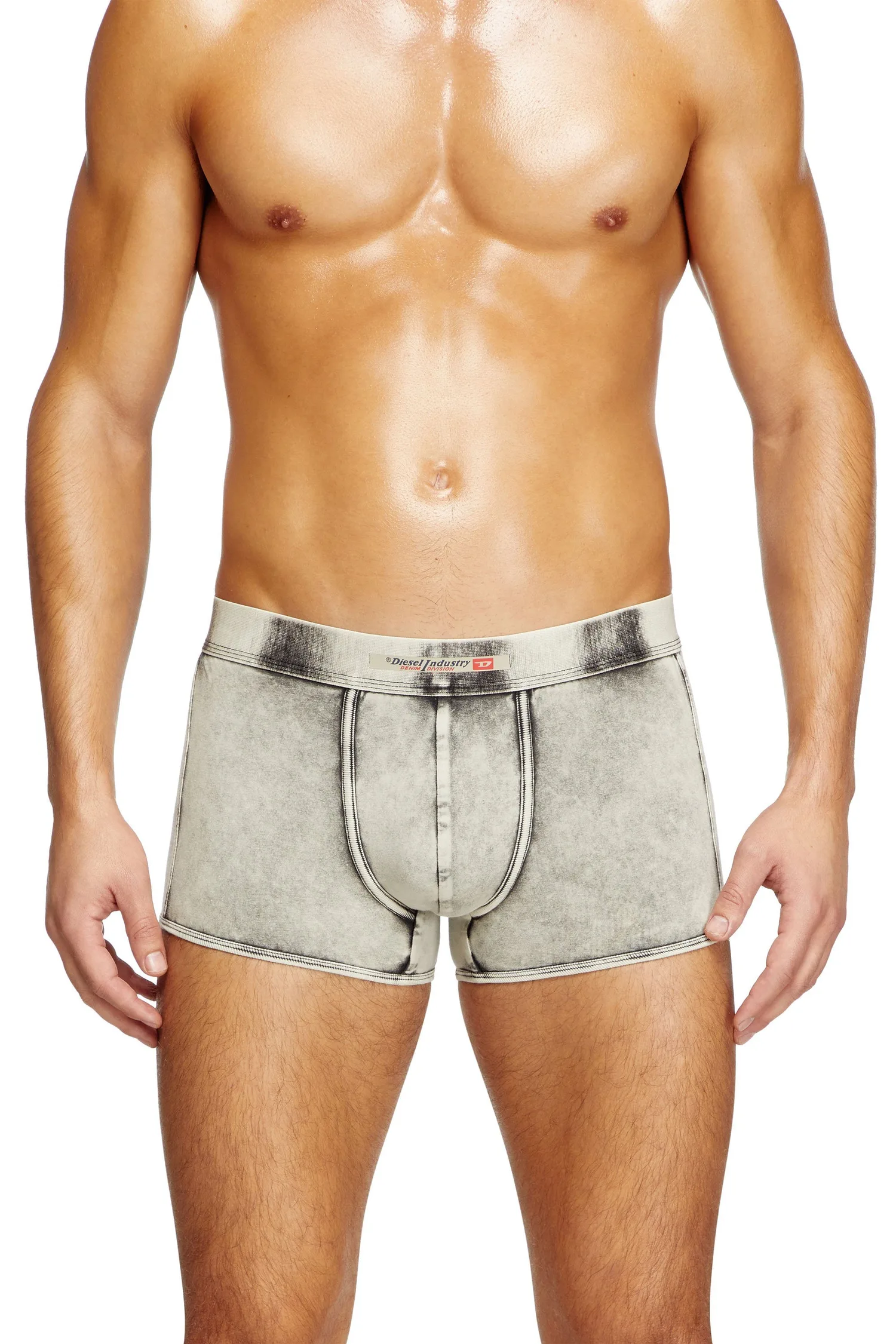 Мужские боксерские шорты DAMIEN-DNM Diesel, gray