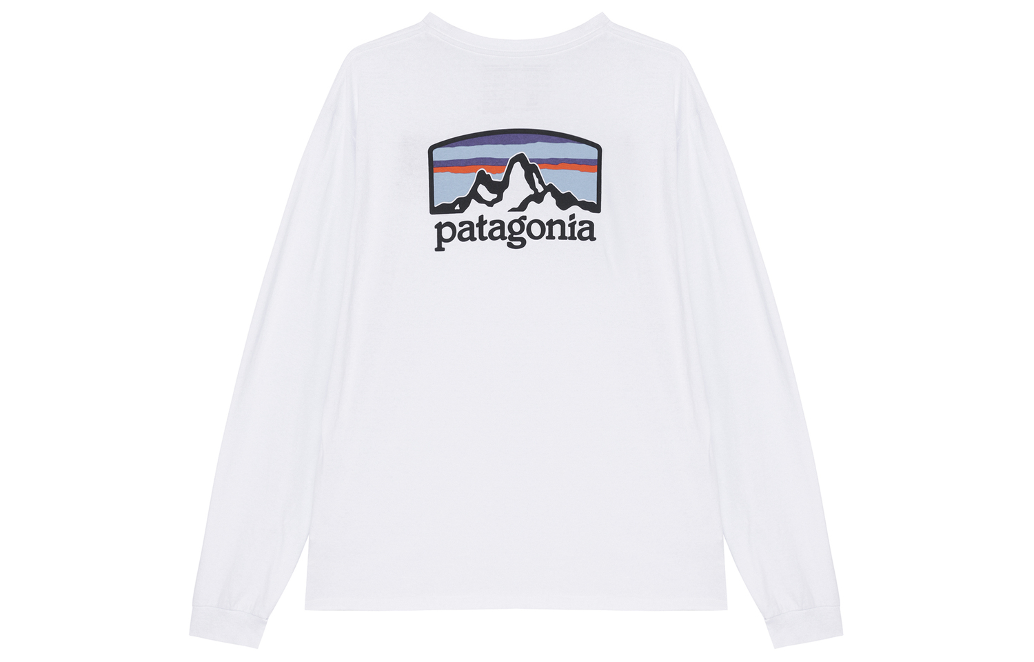 

Мужская футболка Responsibili Tee Patagonia, белый/whi