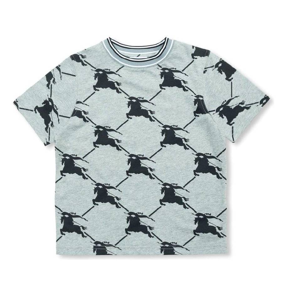 

Burberry Мальчики Черная Alexander Ekd Хлопковая Футболка