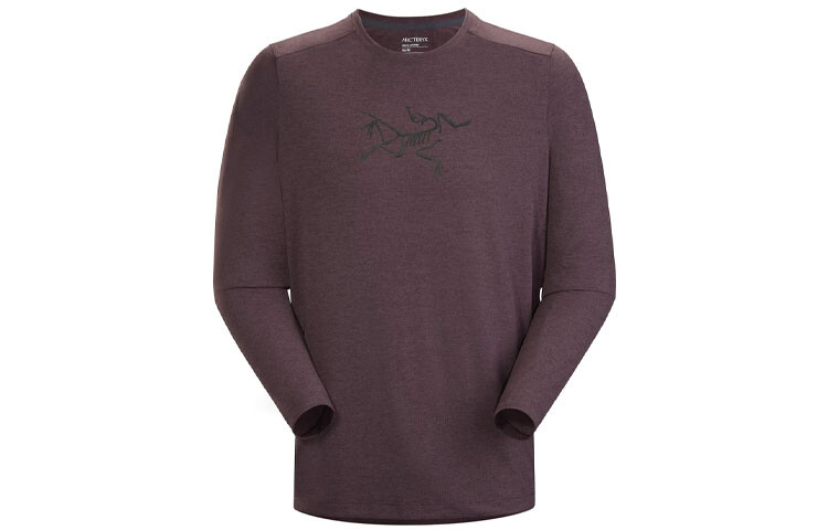 

Мужская футболка Arcteryx, цвет Black