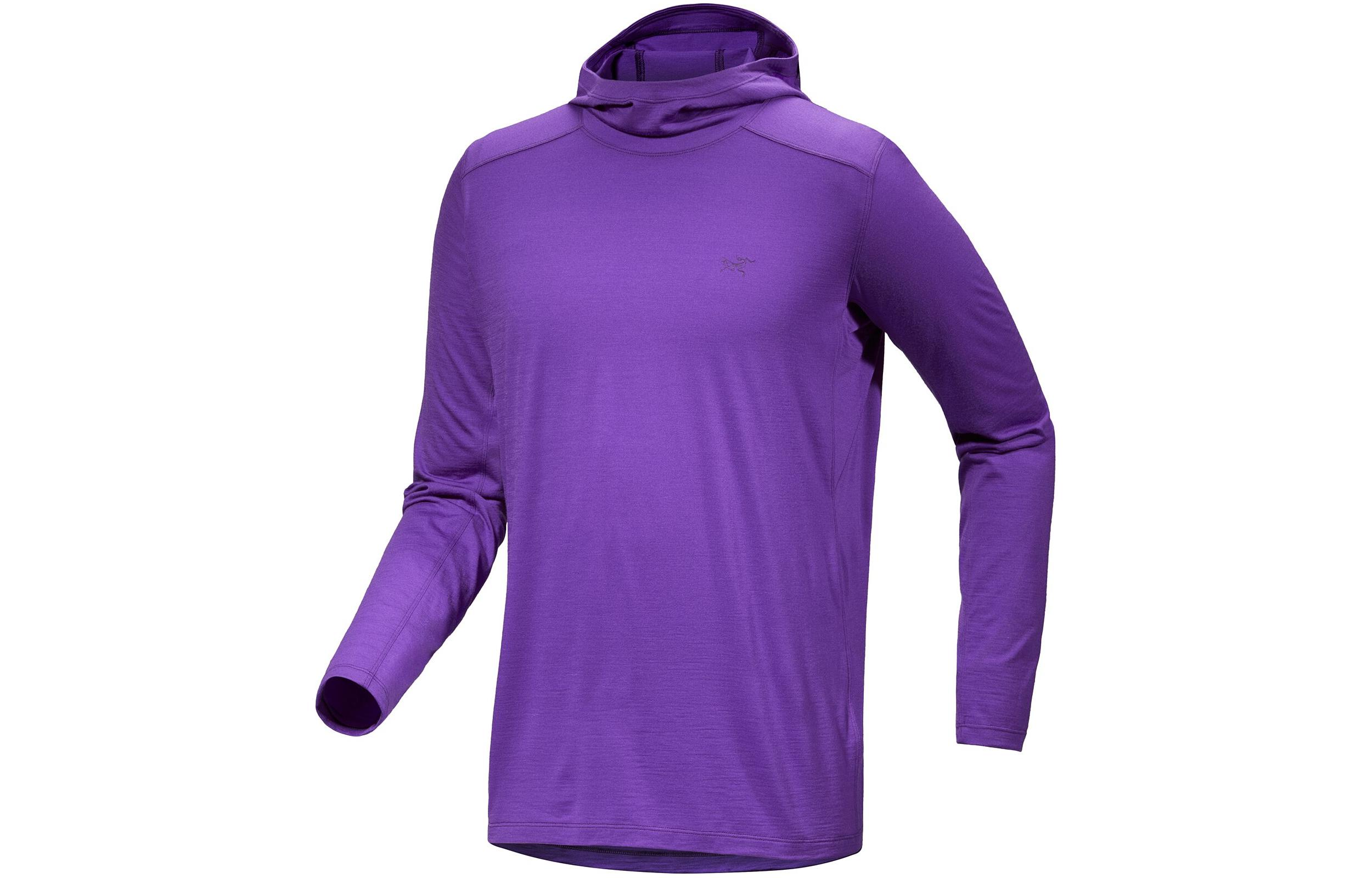 Футболка Ionia Merino Wool Series Мужская Arcteryx, Silver Phantom Purple/Iola — фото 3