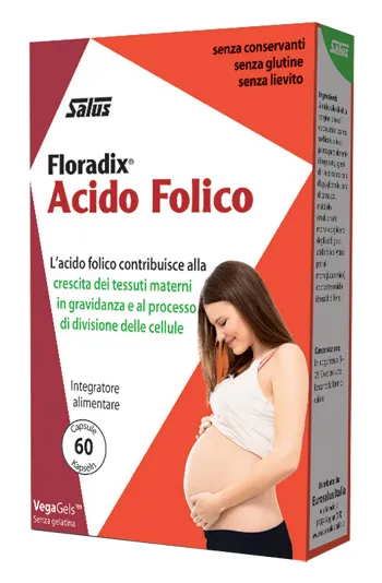 

Floradix Фолиевая кислота 60 капсул Добавка для беременных