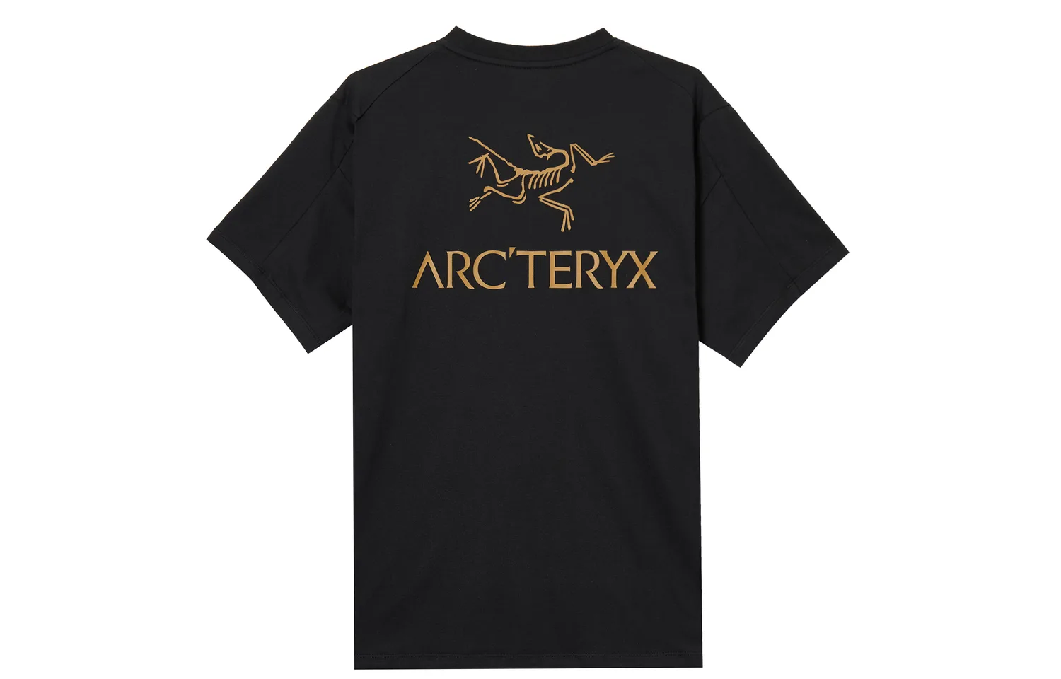 Футболка Kragg Sl из хлопка Arcteryx, Dk Stratus/Fluid — фото 4