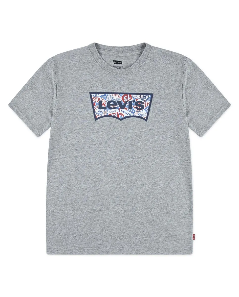 

Футболка On the Road Batwing для мальчика Levi's, серый