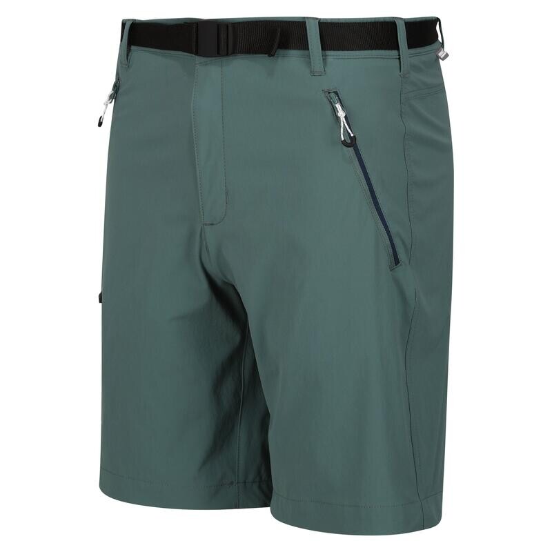 

Мужские брюки для походов — REGATTA Xert StrShort III — Sea Pine