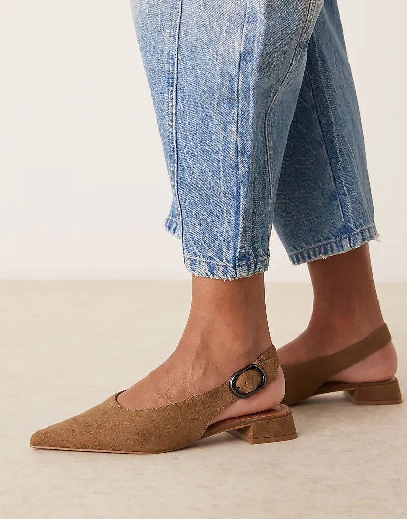 Балетки Leonora из серо-коричневой замши ASOS DESIGN