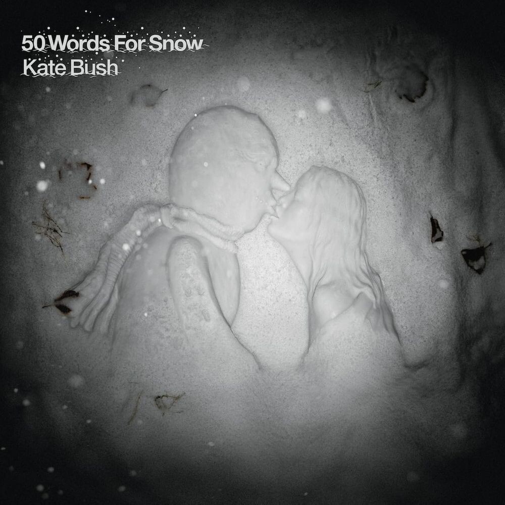 

Виниловая пластинка LP 50 Words For Snow [180 Gram Vinyl] - Kate Bush