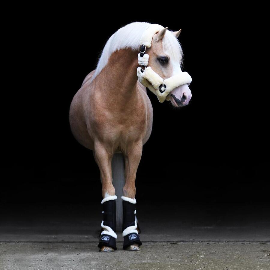 Ботинки-колокола Lieve Horsegear Black — фото 3
