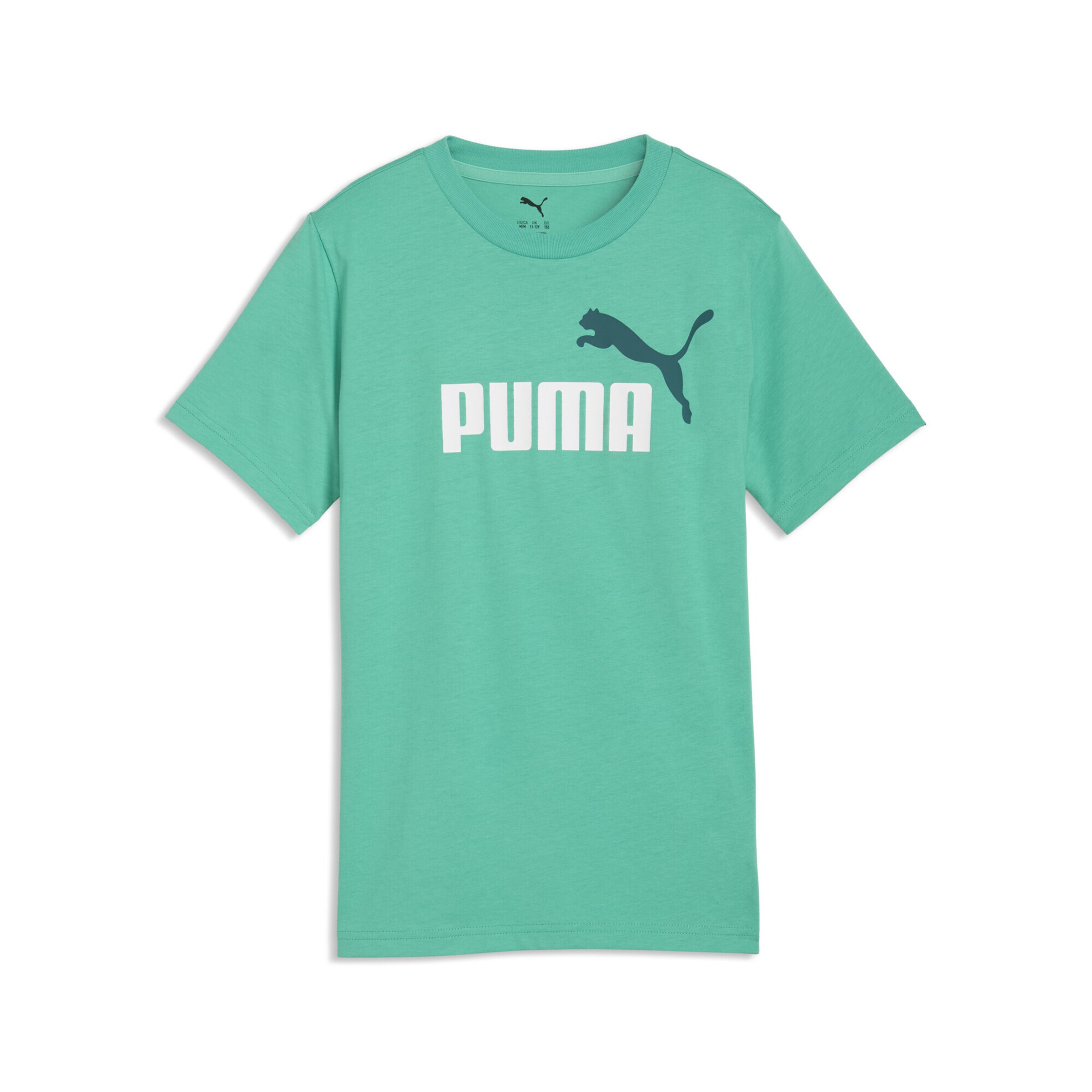 

PUMA Футболка 'Essentials Colour No.1' в цвете Emerald, Fir