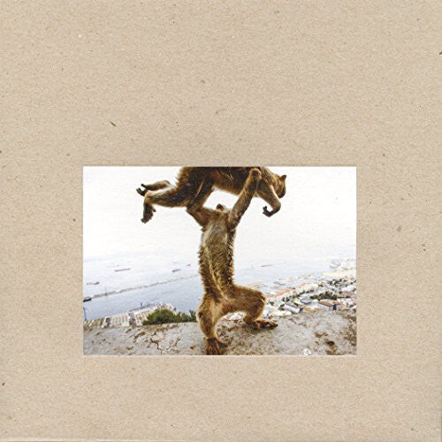 

CD диск Shellac: Dude Incredible