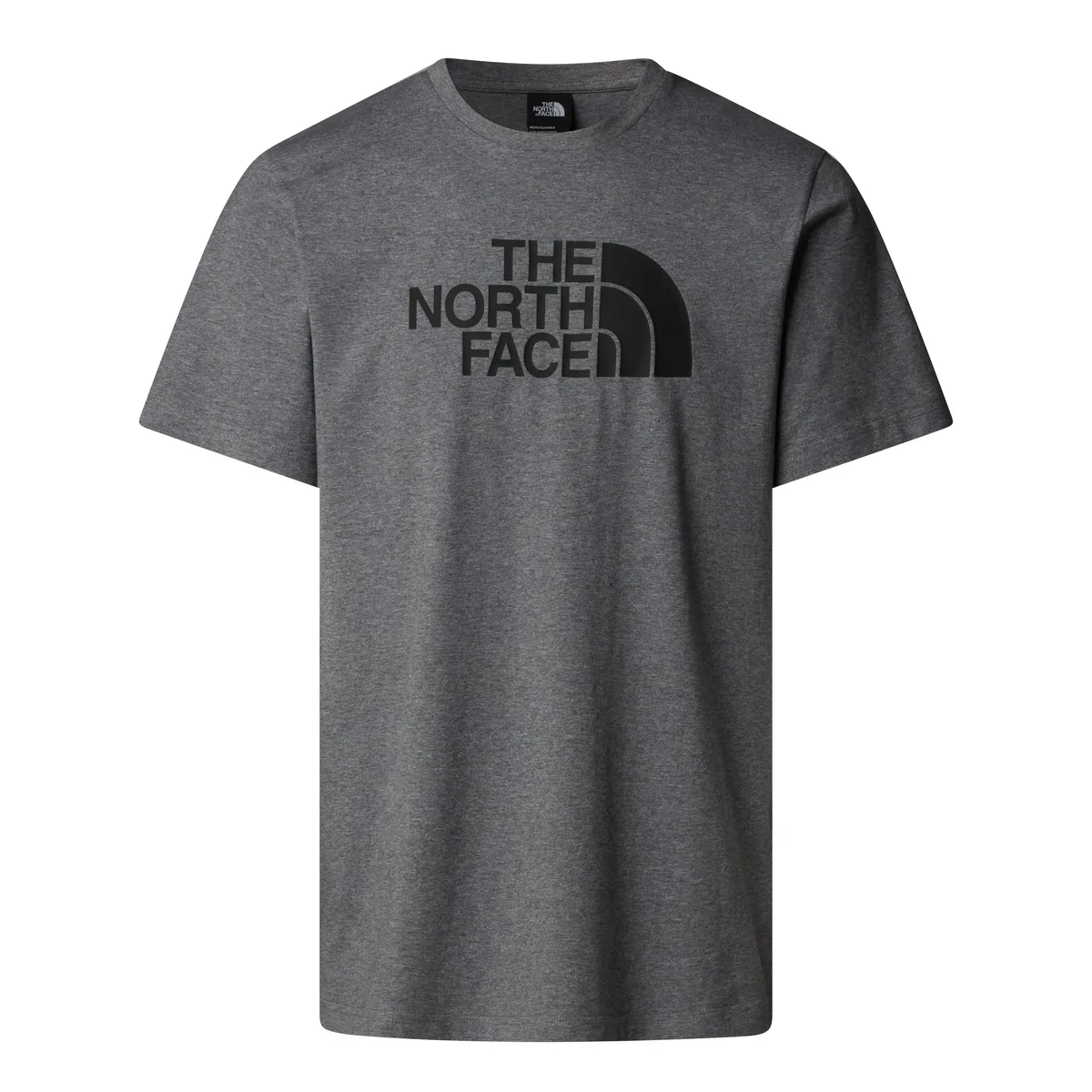 

Футболка The North Face "M S/S EASY TEE", серый