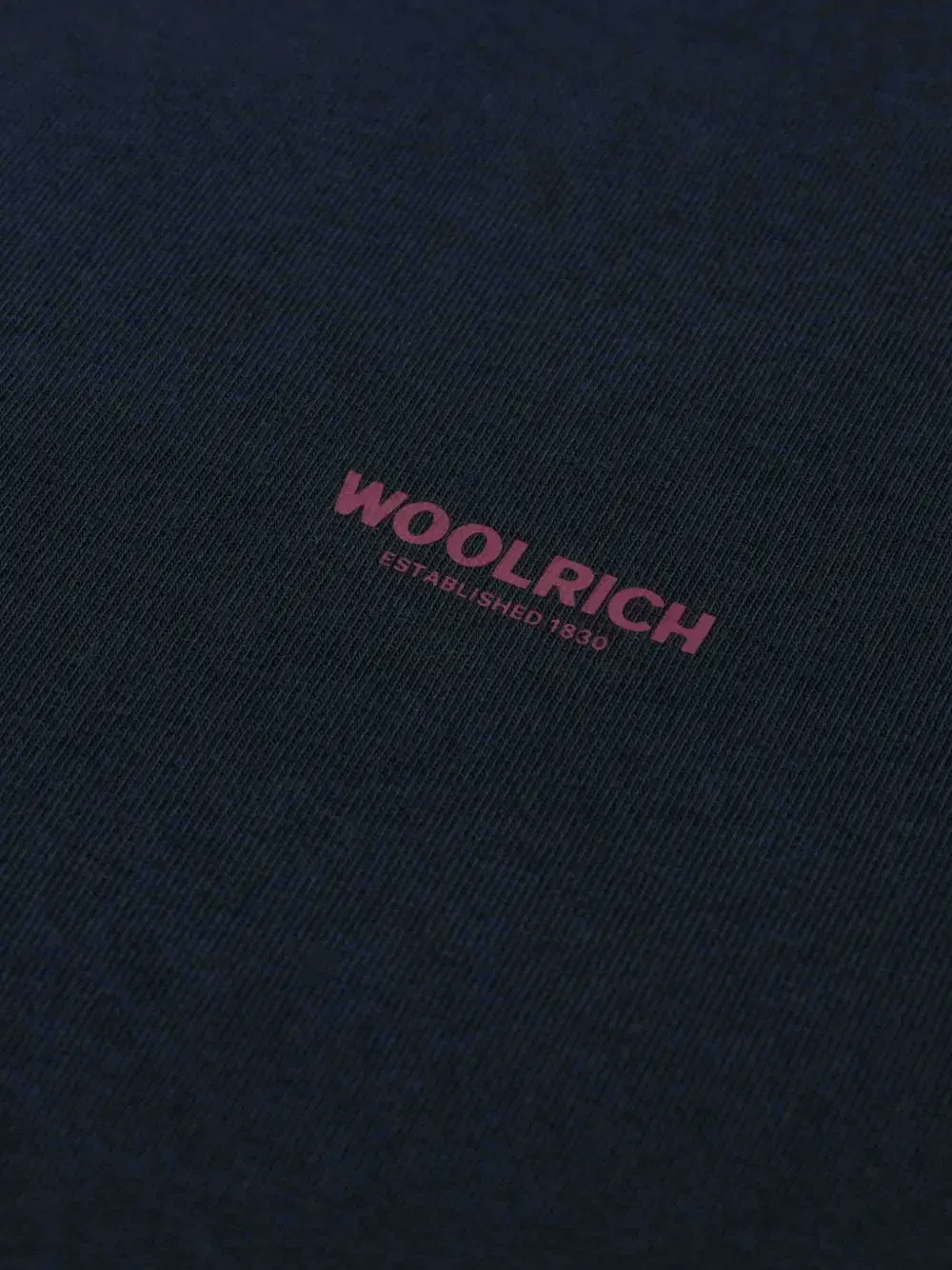 Футболка с деталью в виде логотипа Woolrich Kids, синий — фото 2
