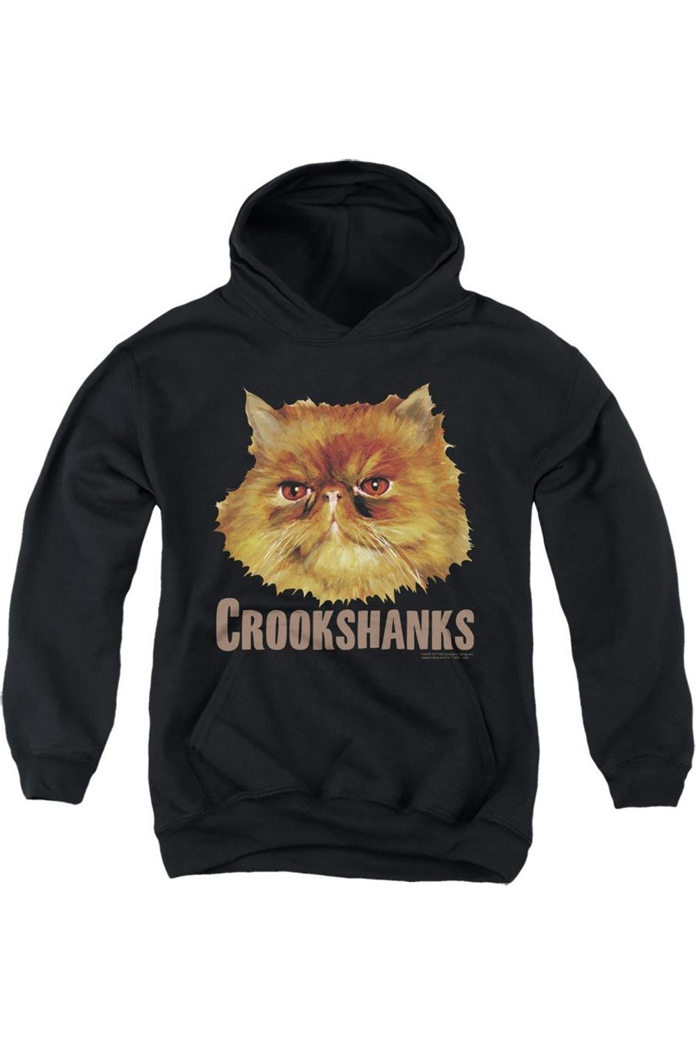 

Худи молодежное с капюшоном Harry Potter Crookshanks в цвете Gildan, черный