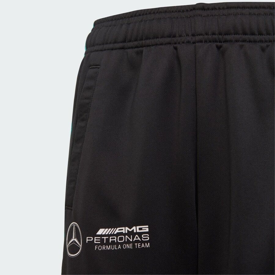 Обычные тренировочные брюки ADIDAS PERFORMANCE Mercedes - AMG Petronas Formula Onr Team DNA, черный — фото 3