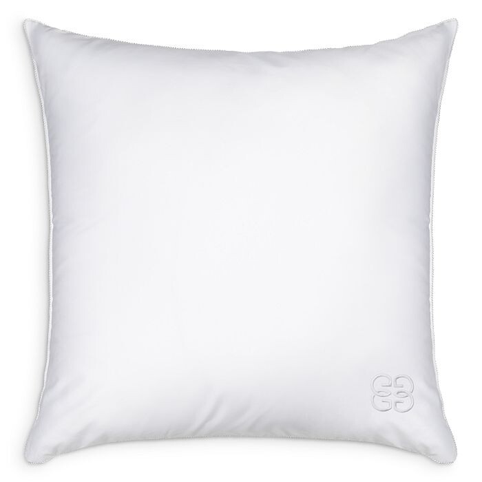 

Европейская подушка из смеси шелка Gingerlily 50/50, 26 x 26 дюймов, белый