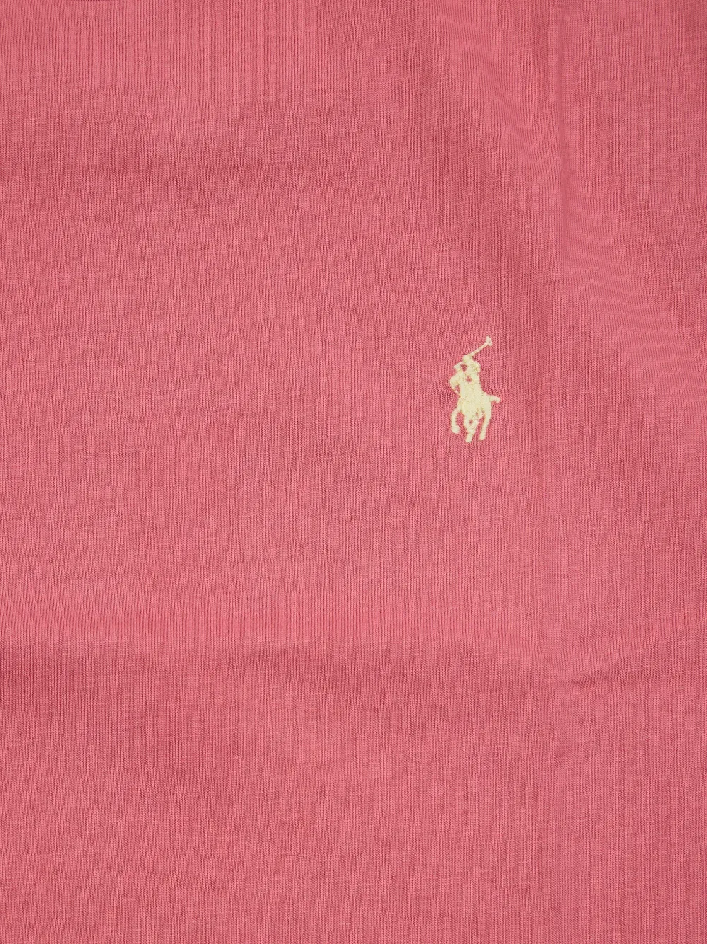 Футболка-поло с вышитым пони Polo Ralph Lauren Kids, красный — фото 3