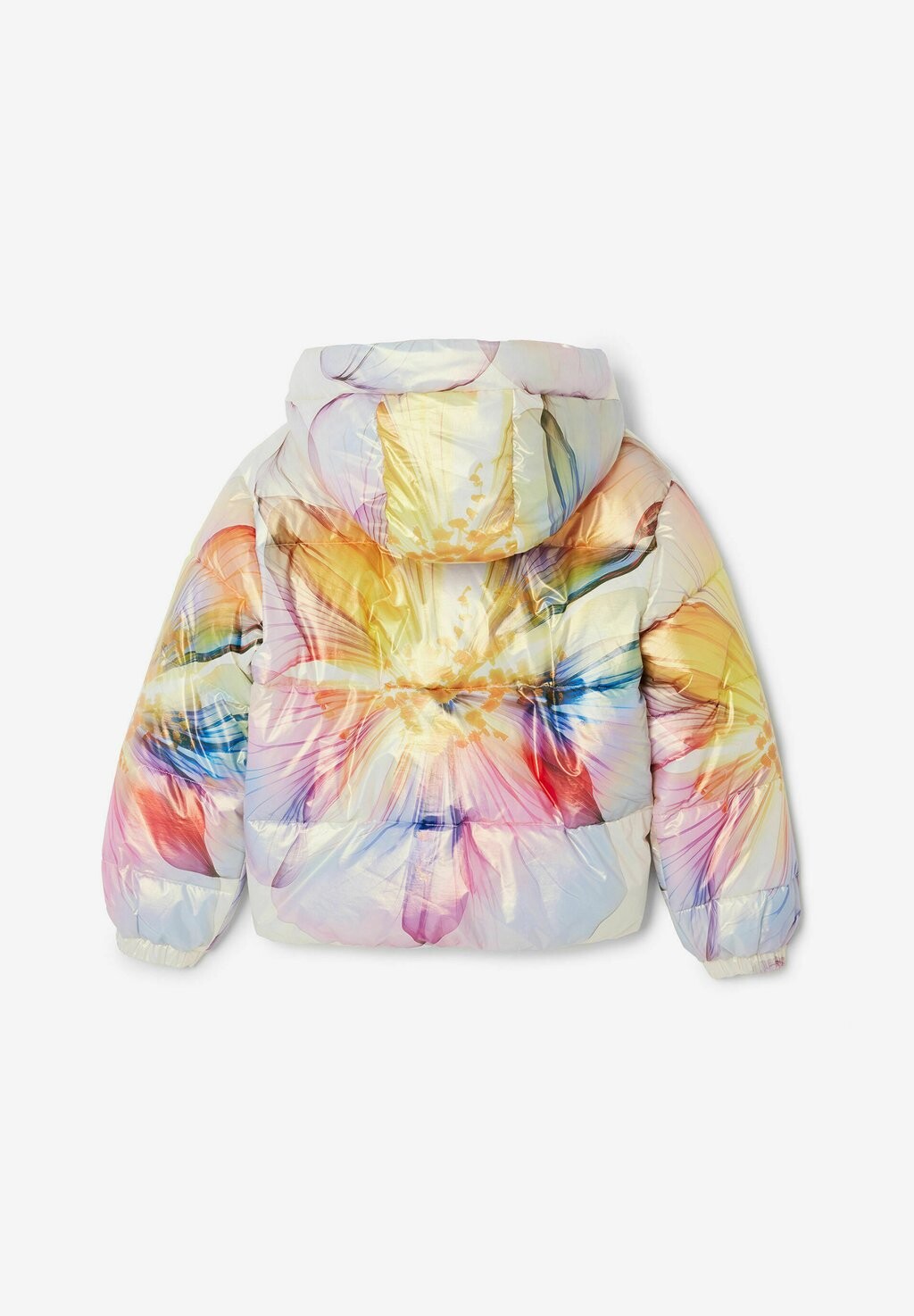 

Зимняя куртка Desigual, мультиколор