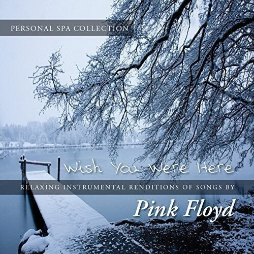

CD диск Mancebo, Judson: Wish You Were Here