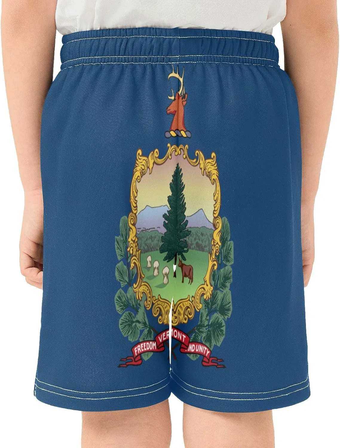 Шорты спортивные мальчиковые GuoChe с карманами, Vermont State Flag — фото 4