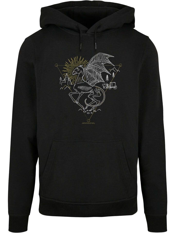 

Толстовка Absolute Cult Kapuzenpullover, черный