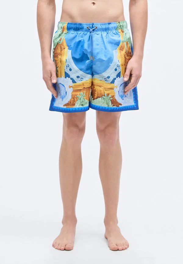 Плавательные шорты swim golfo affresco с принтом Versace, Multicolor