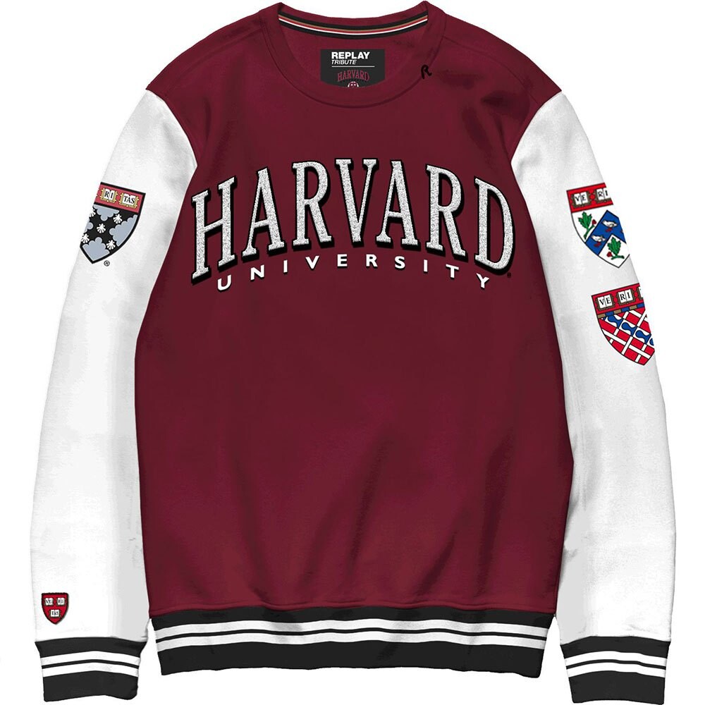 

Толстовка Replay Dyed Brushed Cotton, красный