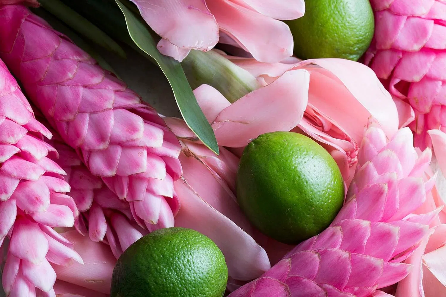 Разглаживающее молочко для тела «Ginger Lime» от KORRES Korres — фото 3