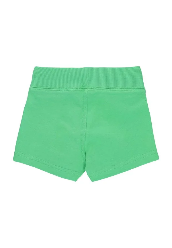 Шорты college wear atlantis Villervalla, Grün — фото 2