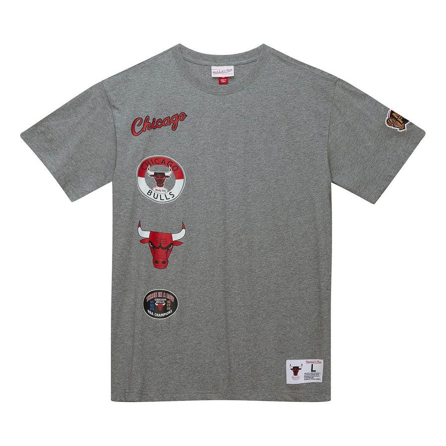 

Футболка Mitchell & Ness x NBA City Collection T-shirt 'Chicago Bulls', серый