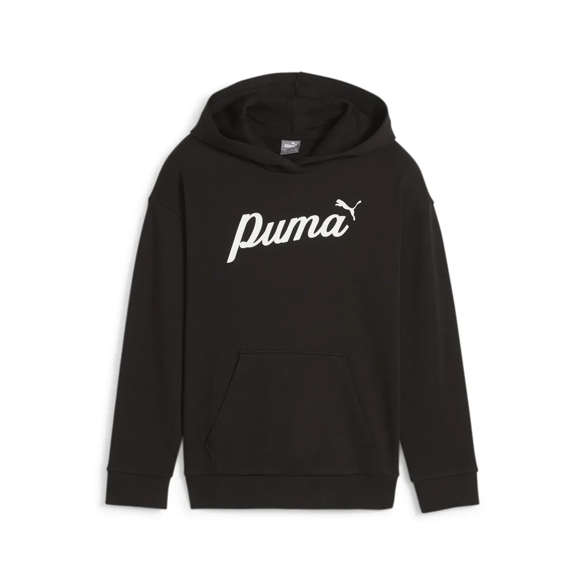 

Толстовка PUMA с капюшоном "ESS+ SCRIPT HOODIE TR G", черный