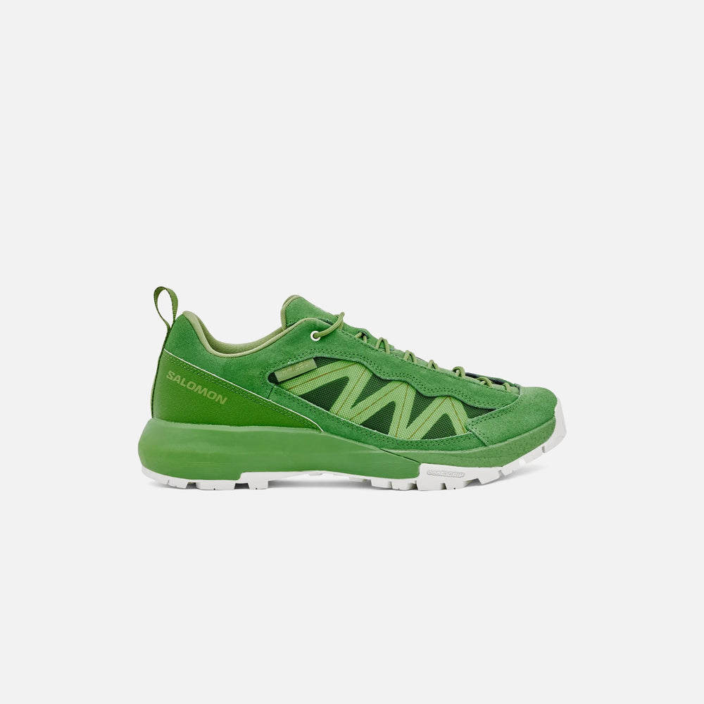 

Кроссовки Salomon x PHILEO XT-SP2, зеленый