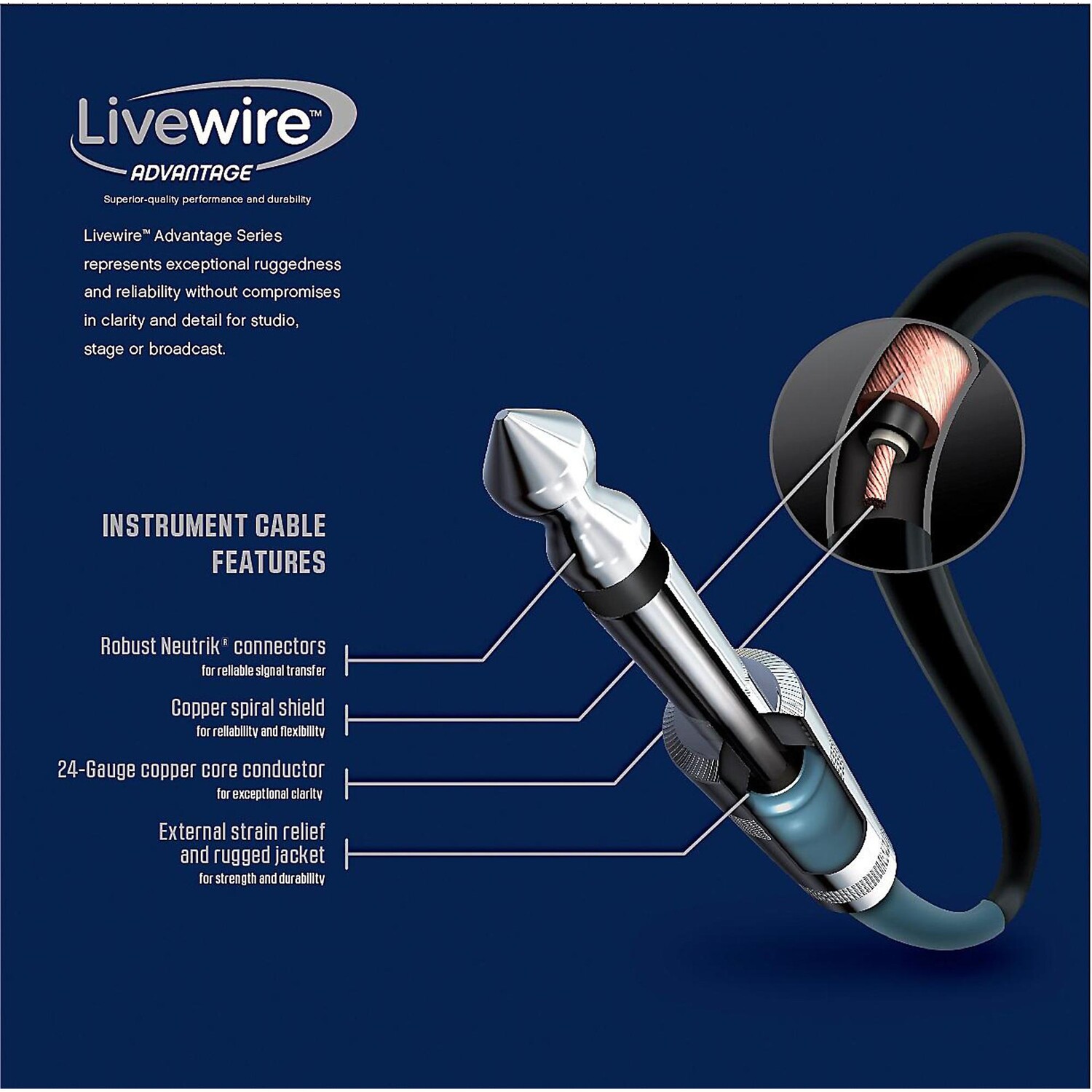 

Livewire Advantage, 8-канальный разъем Snake D-sub на XLR, 10 футов, черный